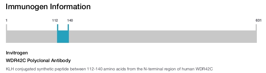 WDR42C Polyclonal Antibody