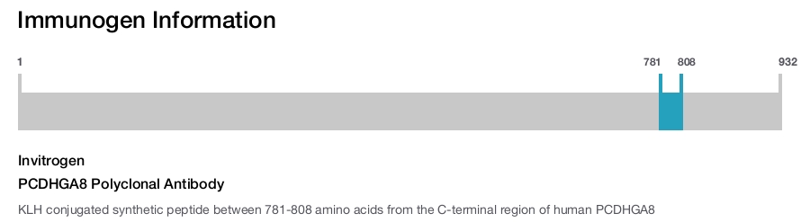 PCDHGA8 Polyclonal Antibody