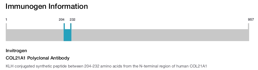 COL21A1 Polyclonal Antibody