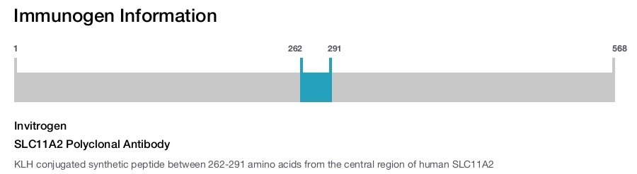 SLC11A2 Polyclonal Antibody