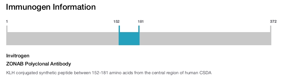 ZONAB Polyclonal Antibody