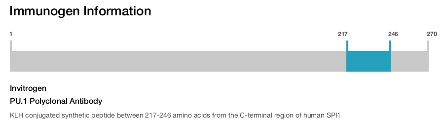 PU.1 Polyclonal Antibody
