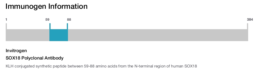 SOX18 Polyclonal Antibody