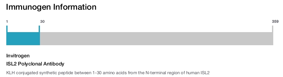ISL2 Polyclonal Antibody
