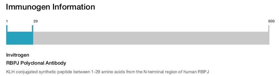 RBPJ Polyclonal Antibody