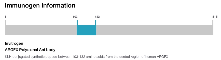 ARGFX Polyclonal Antibody