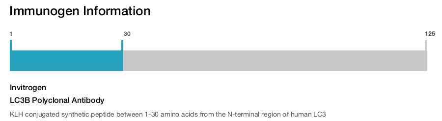 LC3B Polyclonal Antibody