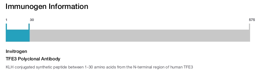 TFE3 Polyclonal Antibody