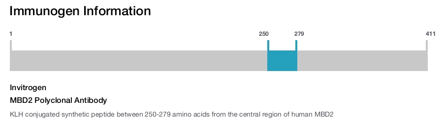 MBD2 Polyclonal Antibody