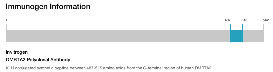 DMRTA2 Polyclonal Antibody
