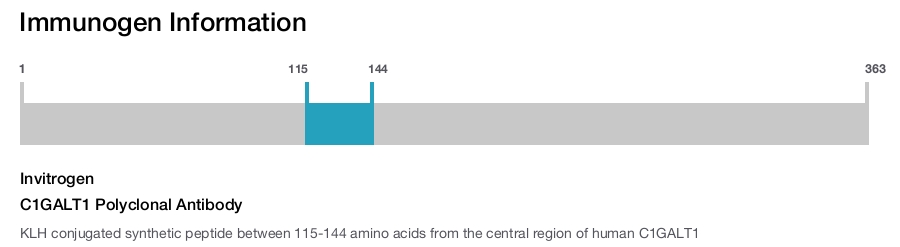 C1GALT1 Polyclonal Antibody