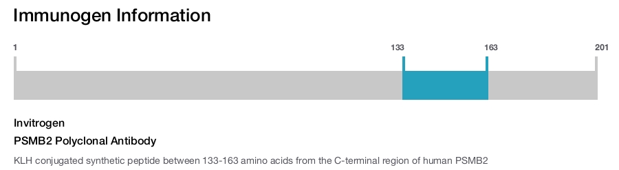 PSMB2 Polyclonal Antibody