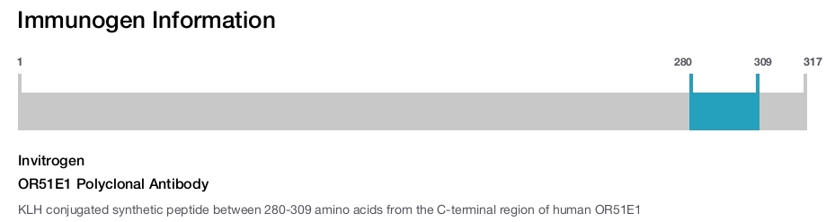 OR51E1 Polyclonal Antibody