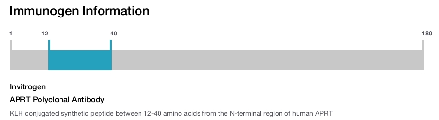 APRT Polyclonal Antibody