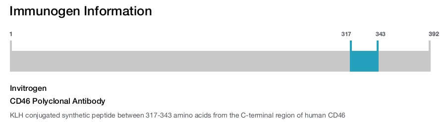 CD46 Polyclonal Antibody