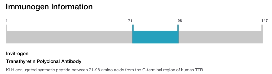 Transthyretin Polyclonal Antibody
