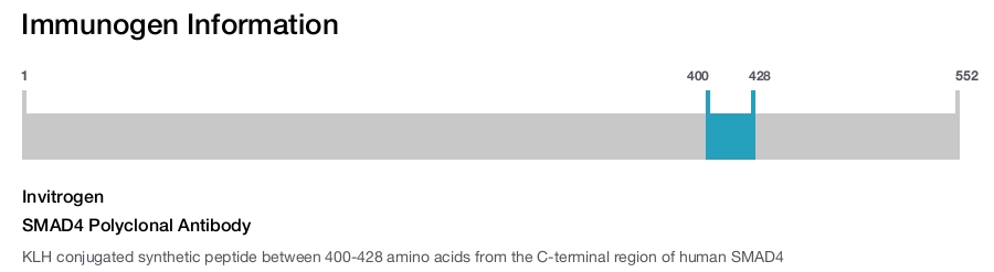 SMAD4 Polyclonal Antibody