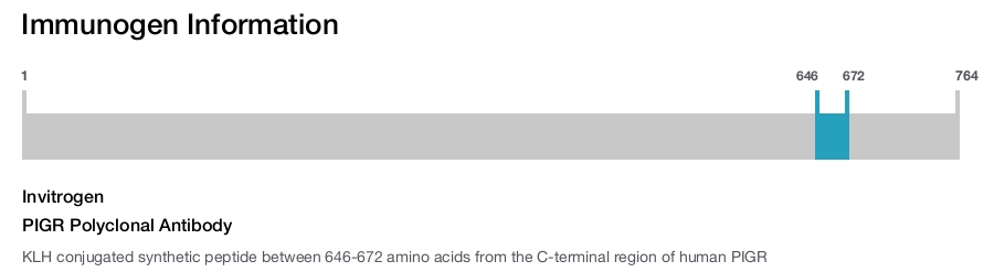 PIGR Polyclonal Antibody