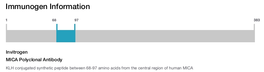 MICA Polyclonal Antibody