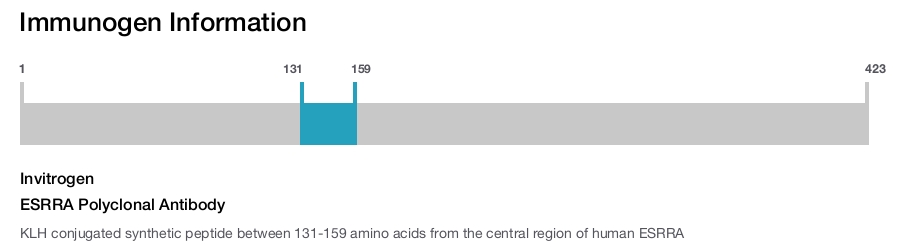 ESRRA Polyclonal Antibody