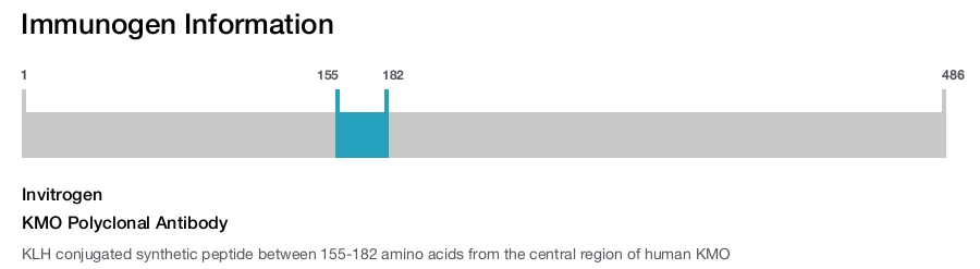 KMO Polyclonal Antibody