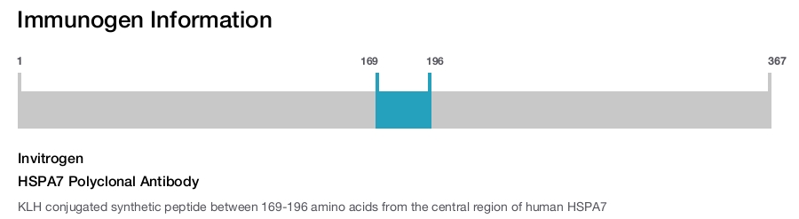 HSPA7 Polyclonal Antibody