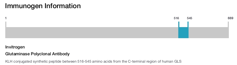 Glutaminase Polyclonal Antibody
