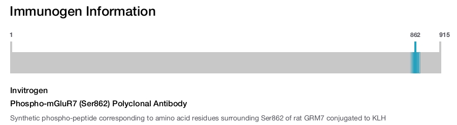 Phospho-mGluR7 (Ser862) Polyclonal Antibody