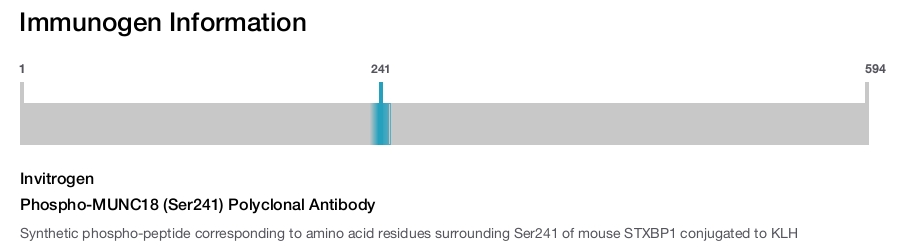 Phospho-MUNC18 (Ser241) Polyclonal Antibody