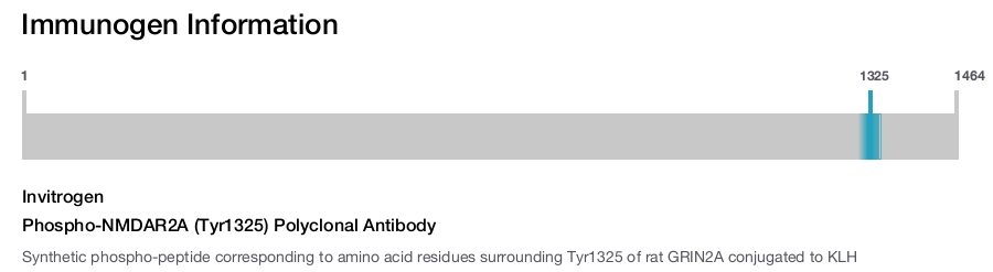 Phospho-NMDAR2A (Tyr1325) Polyclonal Antibody