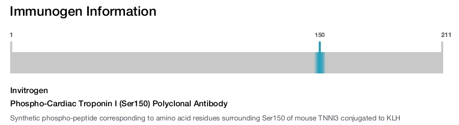 Phospho-Cardiac Troponin I (Ser150) Polyclonal Antibody