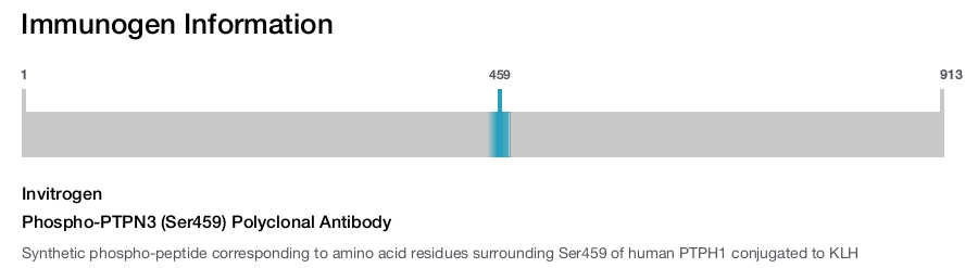 Phospho-PTPN3 (Ser459) Polyclonal Antibody