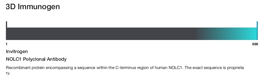 NOLC1 Polyclonal Antibody