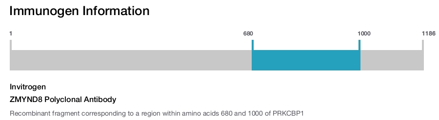 ZMYND8 Polyclonal Antibody