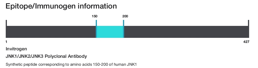 JNK1/JNK2/JNK3 Polyclonal Antibody