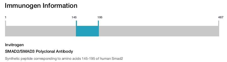 SMAD2/SMAD3 Polyclonal Antibody