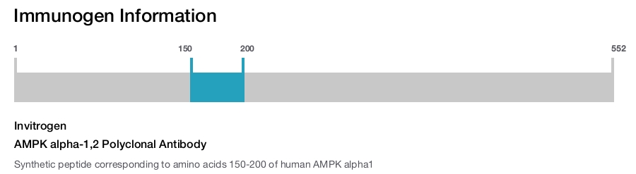 AMPK alpha-1,2 Polyclonal Antibody
