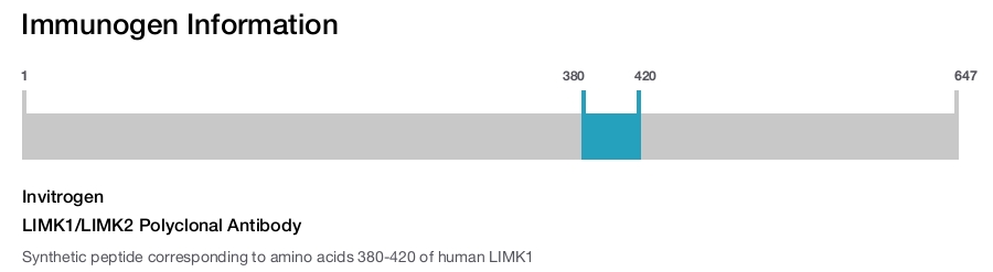 LIMK1/LIMK2 Polyclonal Antibody