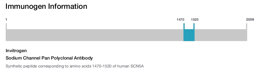 Sodium Channel Pan Polyclonal Antibody