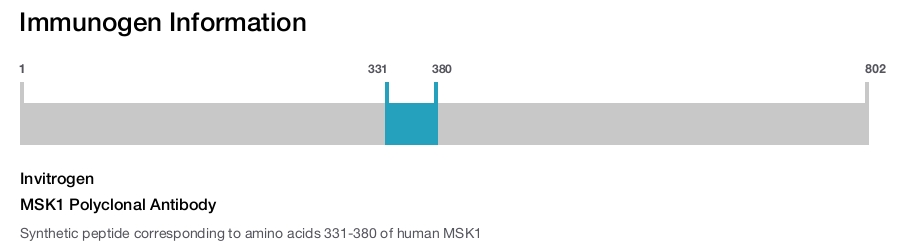 MSK1 Polyclonal Antibody