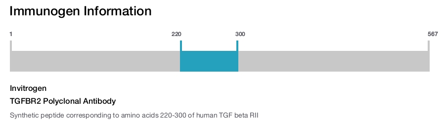 TGFBR2 Polyclonal Antibody