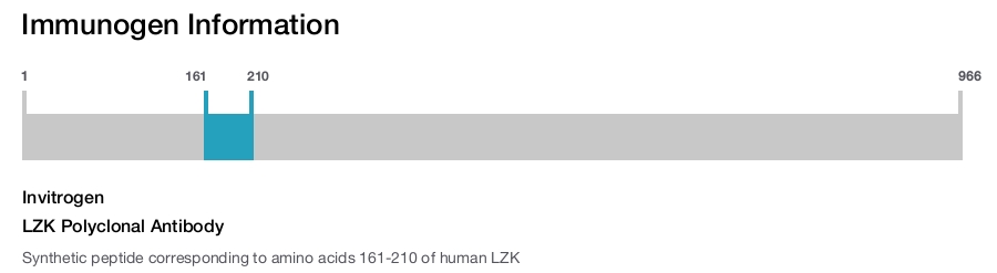 LZK Polyclonal Antibody