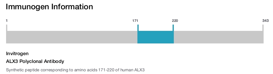 ALX3 Polyclonal Antibody