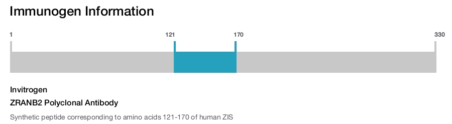 ZRANB2 Polyclonal Antibody