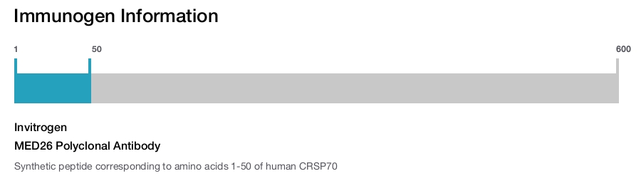 MED26 Polyclonal Antibody