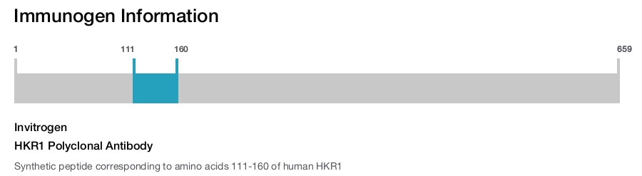 HKR1 Polyclonal Antibody