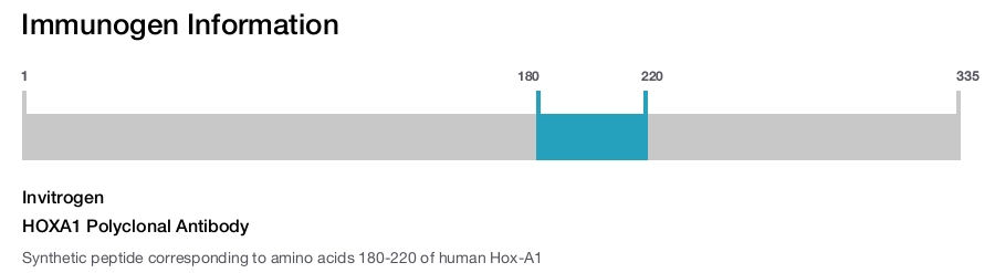 HOXA1 Polyclonal Antibody