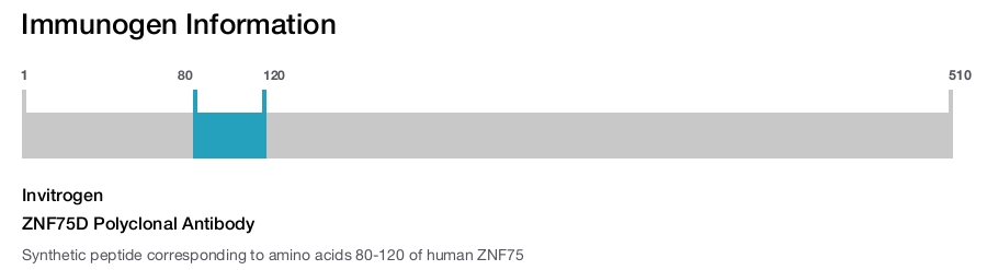 ZNF75D Polyclonal Antibody