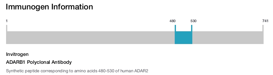ADARB1 Polyclonal Antibody