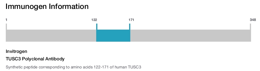 TUSC3 Polyclonal Antibody
